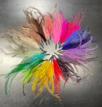 Load image into Gallery viewer, Emu Feather Plumes