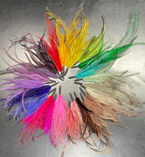 Load image into Gallery viewer, Emu Feather Plumes