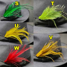 Load image into Gallery viewer, Emu Feather Plumes