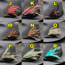 Load image into Gallery viewer, Emu Feather Plumes