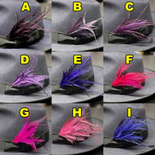 Load image into Gallery viewer, Emu Feather Plumes