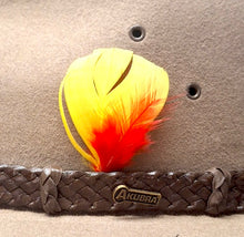 Load image into Gallery viewer, Smart Alec Handmade Feathers - Assorted
