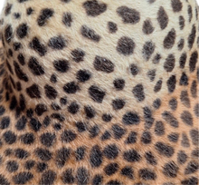 Load image into Gallery viewer, Fur Felt Breton Vintage Italian - Leopard
