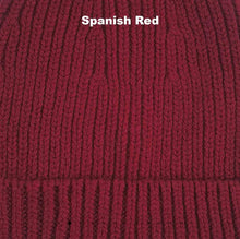 Load image into Gallery viewer, Fixed Beanie - Otto &amp; Spike - Merino - Spanish Red
