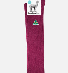 Humphrey Law - Luxury Alpaca - Knee High Socks - Berry