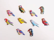 Load image into Gallery viewer, Tin Brooch - Badge - Made in Japan - Set of 12 - Birds and Parrots
